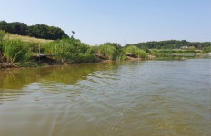 성호낚시터 유료낚시터 > 좌대 노지가 궁금한 성호낚시터. : 낚시사랑