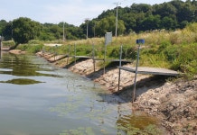 성호낚시터 유료낚시터 > 좌대 노지가 궁금한 성호낚시터. : 낚시사랑