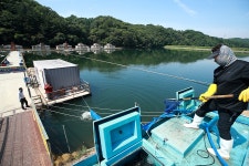 한터낚시터. 유료낚시터 > 한터 낚시터 2024년 6월21일(금요일) 메기 붕어 향어 대량 방류했습니다 : 낚시사랑