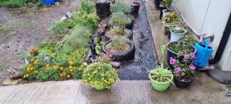 노은지 유료낚시터 > 노은지 낚시터 소식입니다. : 낚시사랑