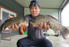 성호낚시터 유료낚시터 > 신났네 신났어 월요일조황 성호낚시터. : 낚시사랑