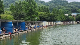 안성 거청낚시터 유료낚시터 > 6 월 30 일 배수없는 거청낚시터 조황 : 낚시사랑