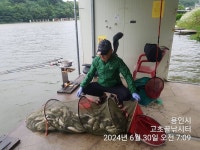고초골낚시터 유료낚시터 > 고초골 주말 마릿수 조황 및 어자원 방류 : 낚시사랑