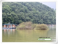 송도좌대 유료낚시터 > 장마 첫 머리. : 낚시사랑