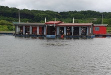 성호낚시터 유료낚시터 > 목요일 7월4일 조황 성호낚시터. : 낚시사랑
