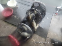 도곡낚시터 유료낚시터 > 도곡낚시터 붕어 조황 정보 감사합니다 : 낚시사랑