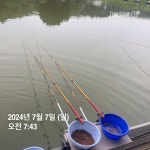 양평그린낚시터 유료낚시터 > 양평 그린낚시터 7/8 (월) 조황 정보 및 방류 소식 : 낚시사랑