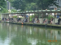 오빈낚시터 유료낚시터 > ～～～자리편차 없는 주말이었으며 현재 아주좋은 조황 보이고 있습니다 ～～～ : 낚시사랑