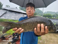 토종계양낚시터 유료낚시터 > *** 장마에도 4자 및 허리급, 마릿수 조황 좋습니다~ *** : 낚시사랑