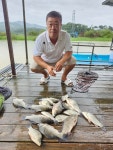 고삼지 양촌 유료낚시터 > 고삼지 마리수 조황입니다. : 낚시사랑