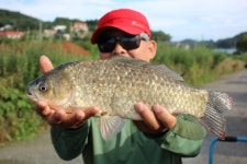 내동지 유료낚시터 > *** 빅이벤트 3일차 *** : 낚시사랑