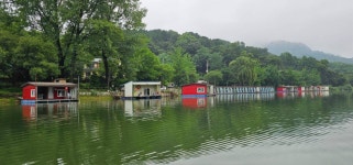 양평수곡낚시터 유료낚시터 > 휴가철 피서낚시 양평 힐링 수곡낚시터 주중조황도 기복없이 꾸준하게 나와줍니다 오늘붕어방류 완료 : 낚시사랑