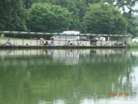 오빈낚시터 유료낚시터 > ~~~ 꾸준한 조황 보이고 있습니다 ~~~ : 낚시사랑