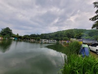 즐거운복상골 유료낚시터 > 익어갑니다~~~ : 낚시사랑