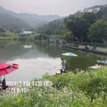 양평그린낚시터 유료낚시터 > 양평 그린낚시터 7/13 (토) 조황 정보 및 방류 소식 : 낚시사랑