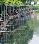 한일지기 유료낚시터 > >>>한일낚시터 주말 조황@ 이벤트 소식 : 낚시사랑