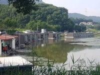 고초골낚시터 유료낚시터 > 고초골 조황 및 어자원 방류상황 : 낚시사랑