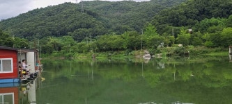 양평수곡낚시터 유료낚시터 > 장마기간 우중 힐링 수곡낚시터 주중 조황도 꾸준하고 수위도 물색도 안정적입니다 : 낚시사랑