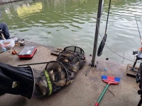 동교낚시터 유료낚시터 > 포천동교낚시터입니다 : 낚시사랑