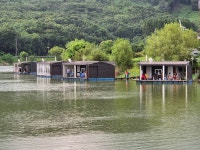 두창낚시터 유료낚시터 > 이쁜 토종붕어를 만나보세요^^ : 낚시사랑