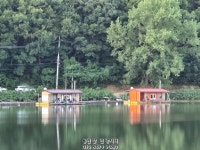 삼인낚시터 유료낚시터 > 휴가철 가깝고 시원한 곳에서 시원한 손맛 즐기세요~~!!-용인삼인낚시터- : 낚시사랑