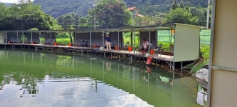 양평피쉬랜드 유료낚시터 > 7월 31일 양평 피쉬랜드 조황사진 및 방류사진입니다✨ : 낚시사랑