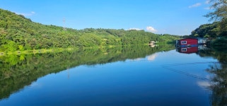 양평수곡낚시터 유료낚시터 > 8월 여름휴가 계곡지 피서낚시 양평 힐링 수곡낚시터 꾸준한 조황들 입니다 : 낚시사랑