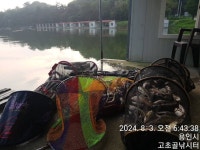 고초골낚시터 유료낚시터 > 고초골 휴가낚시 폭염 속 마릿수 조황 : 낚시사랑