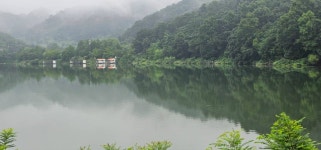 양평수곡낚시터 유료낚시터 > 여름휴가 계곡지 피서낚시 양평 수곡낚시터 8월둘째주 주중반 조황도 큰 편차는 없는듯 하네요 : 낚시사랑