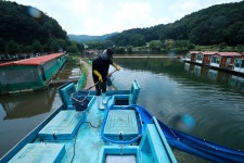 한터낚시터. 유료낚시터 > 한터 낚시터 2024년 08월09일(금요일) 메기 향어 대량 방류했습니다 : 낚시사랑