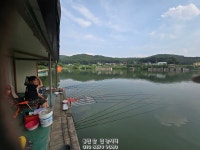 삼인낚시터 유료낚시터 > 가깝고 시원한 곳에서 시원한 손맛 즐기세요~~!!-용인삼인낚시터- : 낚시사랑