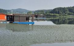 성호낚시터 유료낚시터 > 밤에오는 손님 성호낚시터. : 낚시사랑