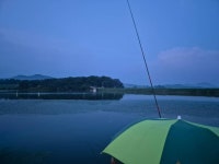성호낚시터 유료낚시터 > 밤에오는 손님 성호낚시터. : 낚시사랑