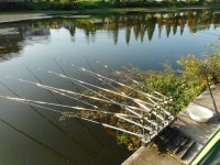 칠곡낚시터 유료낚시터 > 요즘 칠곡지는 마리수보다 덩어리 : 낚시사랑