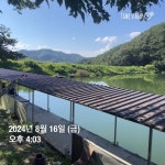 양평그린낚시터 유료낚시터 > 양평 그린낚시터 8/16 (금) 조황 정보 및 방류 소식 : 낚시사랑