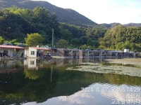 고초골낚시터 유료낚시터 > 고초골 어자원 방류 및 조황소식 : 낚시사랑