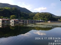 고초골낚시터 유료낚시터 > 고초골 어자원 방류 및 조황소식 : 낚시사랑