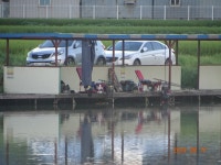 오빈낚시터 유료낚시터 > ~~~조황 아주좋습니다 ~~~ : 낚시사랑