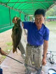 양평-대명낚시터 유료낚시터 > 대명낚시터 향어 터져나옴! [이번주말 600kg 방류] : 낚시사랑