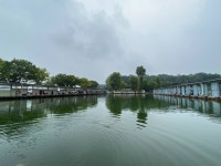 고잔낚시터 유료낚시터 > 저수지, 양어장 대량 방류! 양어장 대박조황 : 낚시사랑