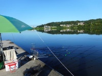 칠곡낚시터 유료낚시터 > 더위도 조금씩 물러가네요 붕어조황은 조금씩 살아나고 : 낚시사랑
