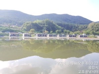 고초골낚시터 유료낚시터 > 고초골 8월 마지막 주말 조황 및 어자원 방류소식 : 낚시사랑