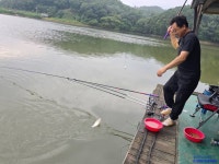 삼인낚시터 유료낚시터 > 가깝고 시원한 곳에서 시원한 토종붕어 손맛 즐기세요~~!!-용인삼인낚시터- : 낚시사랑