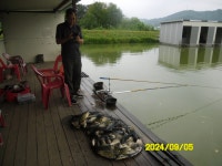오빈낚시터 유료낚시터 > *** 자리편차 없이 꾸준한 조황보이고 있습니다 *** : 낚시사랑