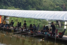 고담낚시터 유료낚시터 > 주말붕어방류 와 조황입니다 : 낚시사랑