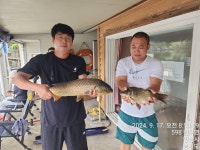 독정낚시터 유료낚시터 > 안올리려했던 조황정보 : 낚시사랑