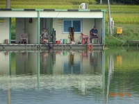 오빈낚시터 유료낚시터 > ~~~ 꾸준한조황 보이고 있습니다~~~ : 낚시사랑