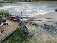 유료터정보 > 유료터점주조황 > 금요일 조황 성호낚시터. 유료터정보 > 유료터점주조황 > 금요일 조황 성호낚시터. 