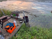 유료터정보 > 유료터점주조황 > 금요일 조황 성호낚시터. 유료터정보 > 유료터점주조황 > 금요일 조황 성호낚시터. 