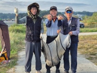 성호낚시터 유료낚시터 > 공지사항 및 조황정보 성호낚시터. : 낚시사랑